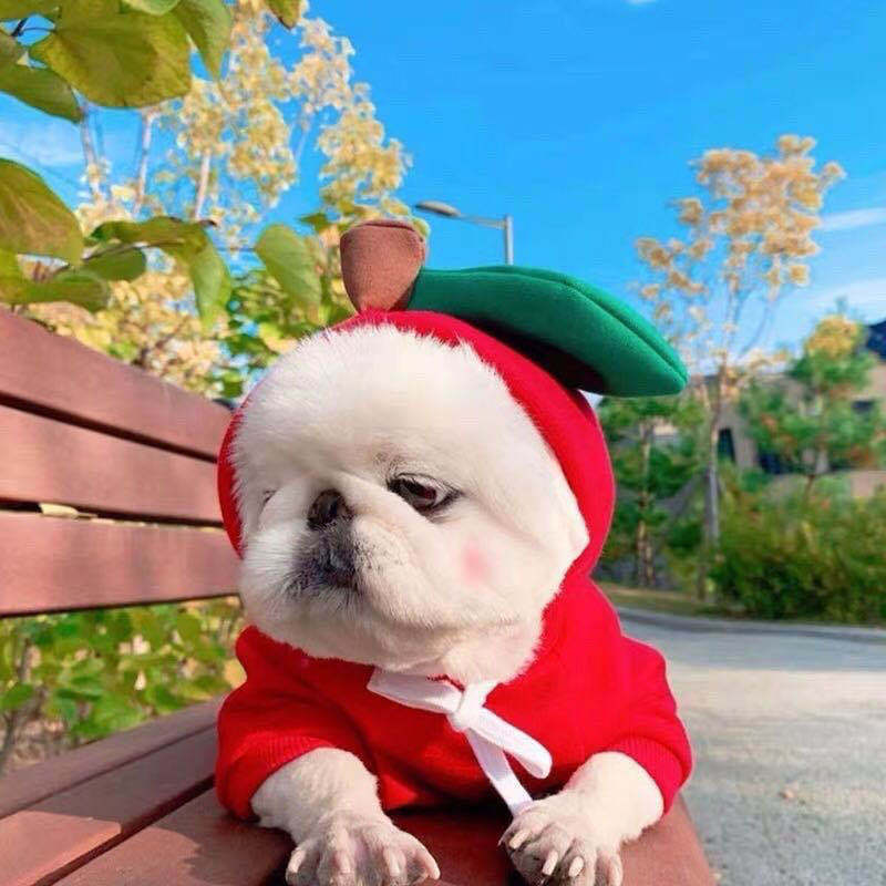 FruitPaws Cozy Fruit Fleece Pet Hoodie