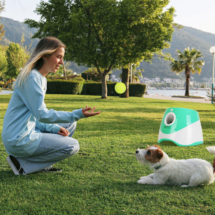 PawLaunch Automatic Dog Ball Launcher