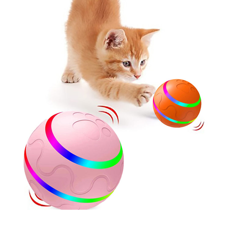Cat Toys