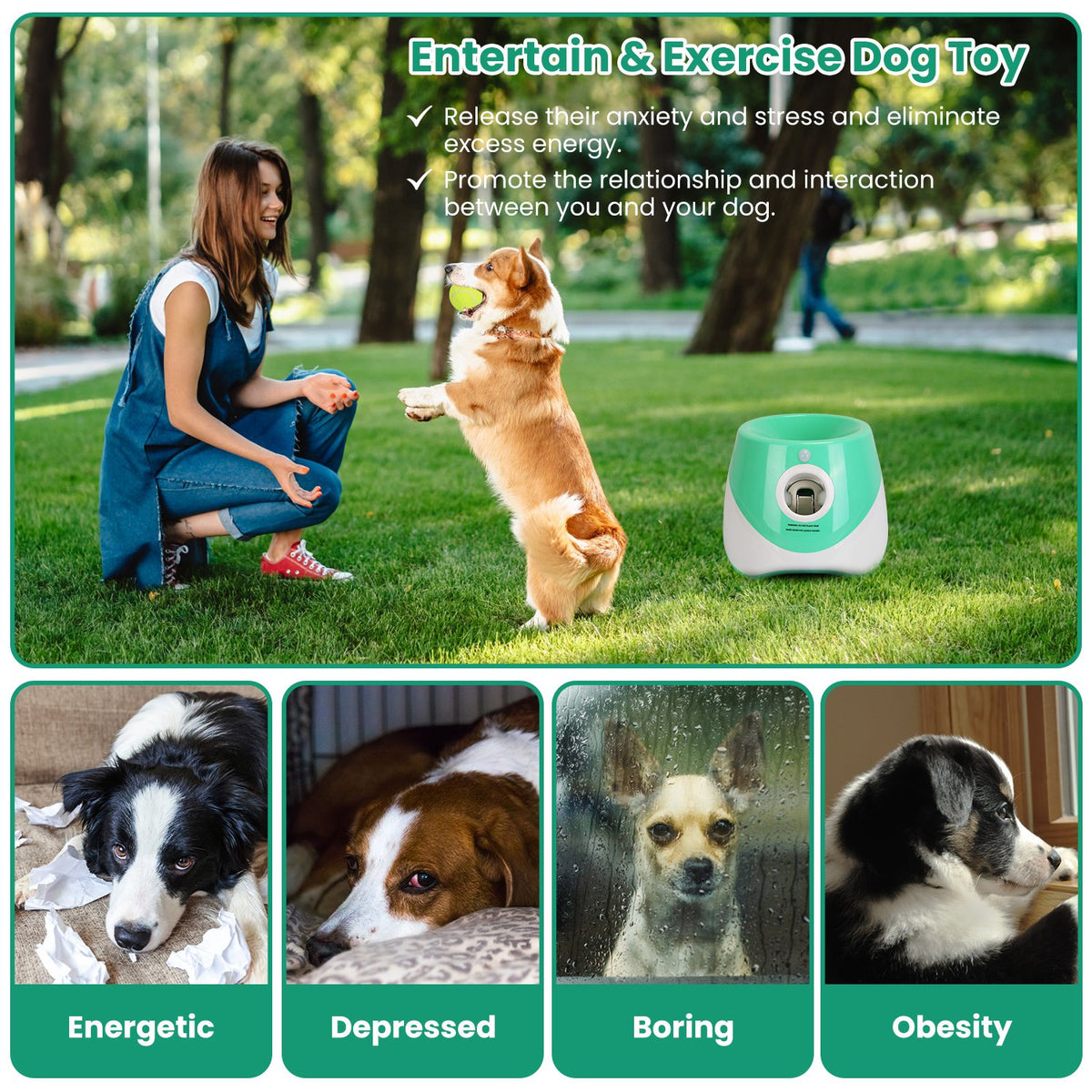 PawLaunch Automatic Dog Ball Launcher
