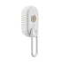 SteamPaw 3-in-1 Electric Steam Grooming Brush