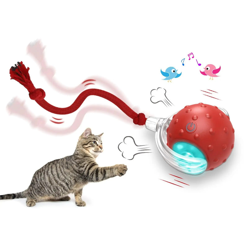 KittyOrbit Interactive Smart Rolling Ball for Cats